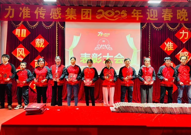 力準傳感 2025 新春特輯:蛇舞祥瑞,感恩同行(圖9) image.png