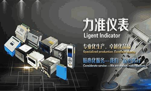 测力称重传感器 测力称重传感器